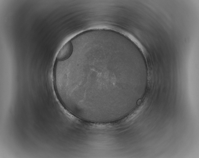 X0000111480951200908041119