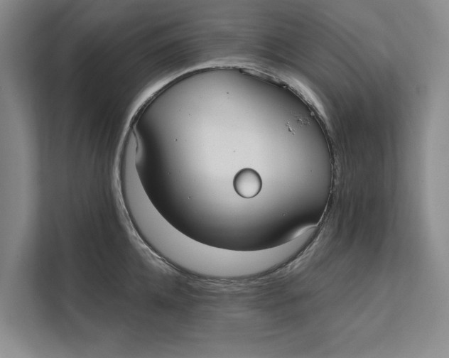 X0000111480952200908041119