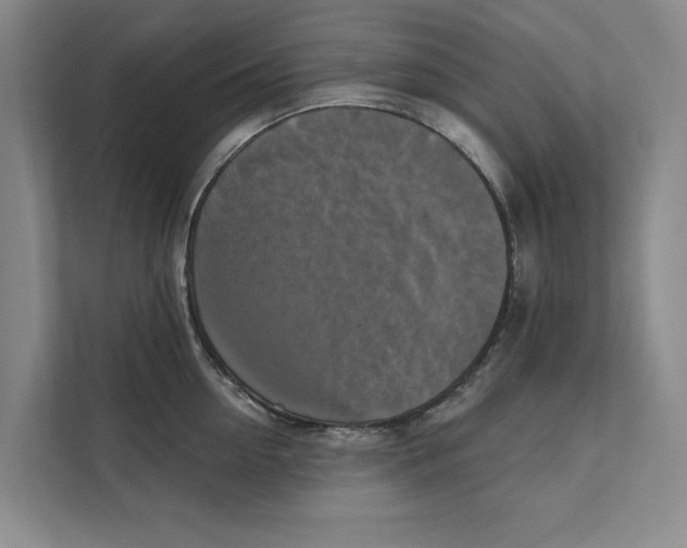 X0000111480954200908041119