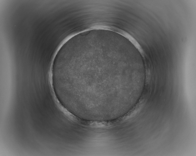 X0000111480955200908041119