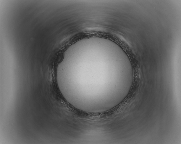 X0000111480965200908041119