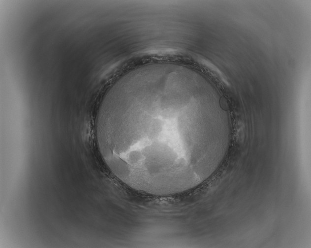 X0000111480966200908041119