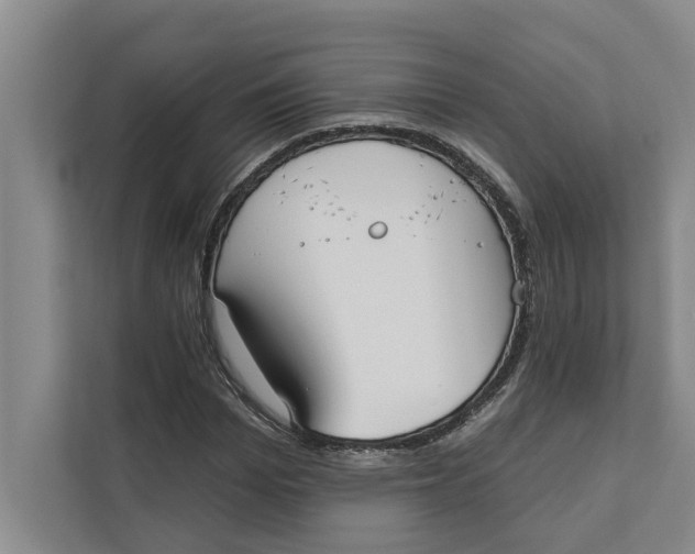 X0000111480969200908041119