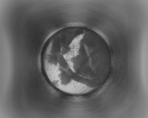 X0000111480983200908041118