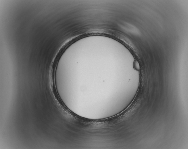 X0000111480984200908041118