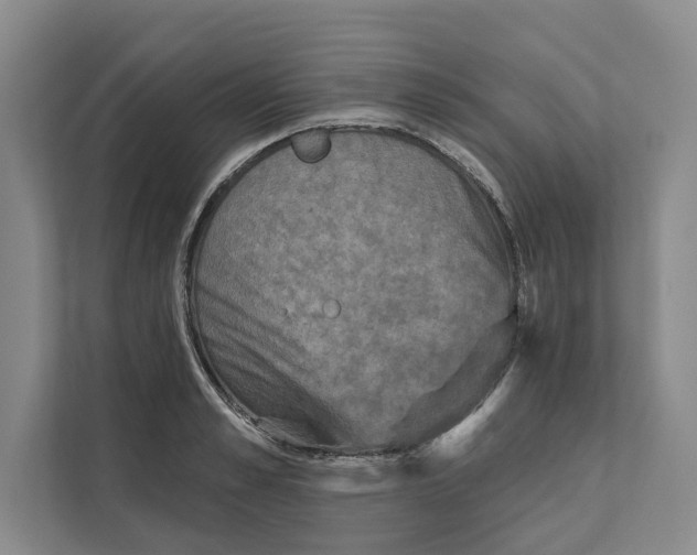 X0000111480989200908041118