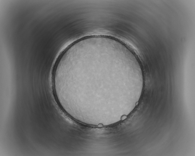 X0000111480990200908041118