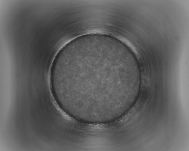X0000111480991200908041118
