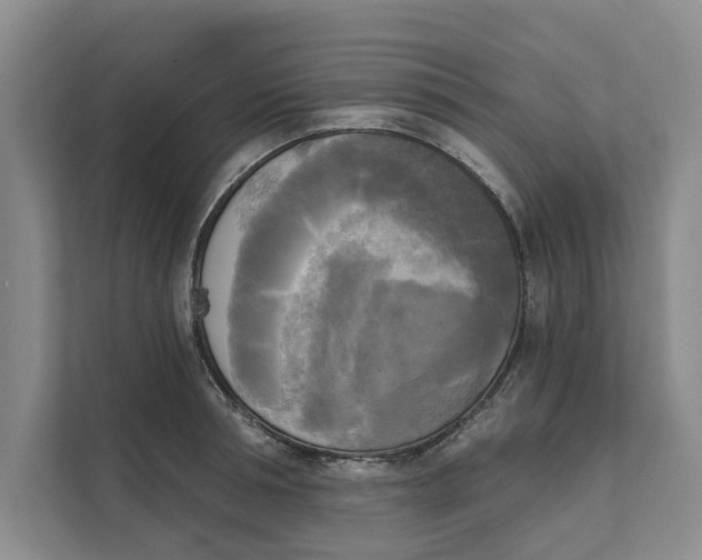 X0000111480994200908041118