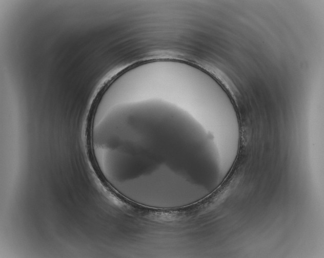 X0000111480995200908041118