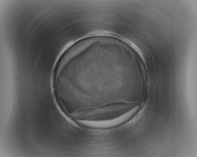 X0000111480997200908041118