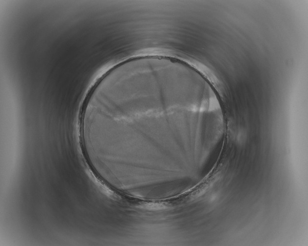 X0000111480998200908041118