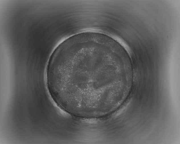 X0000111480999200908041118