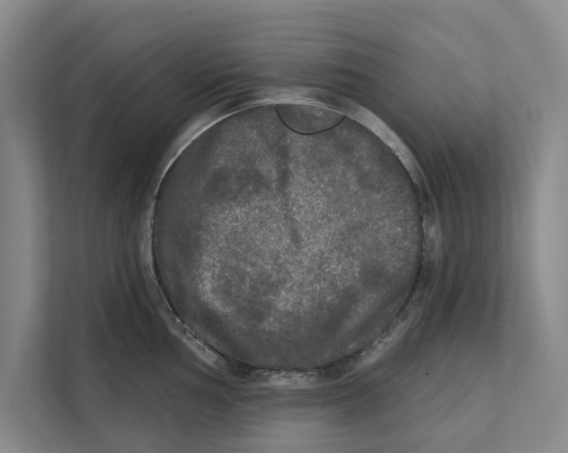 X0000111481002200908041118