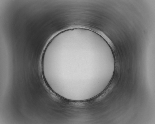 X0000111481004200908041118