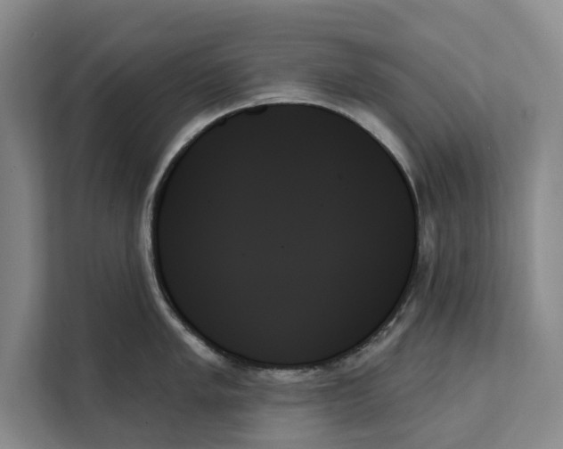 X0000111481005200908041118