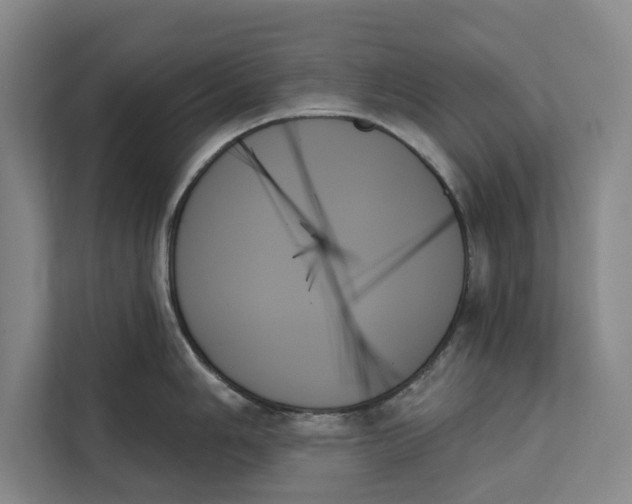 X0000111481006200908041118