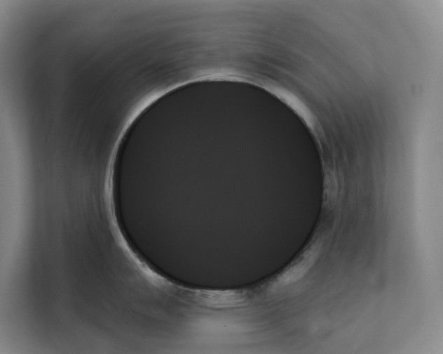 X0000111481007200908041118
