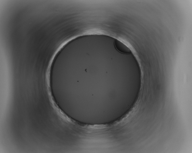 X0000111481008200908041118