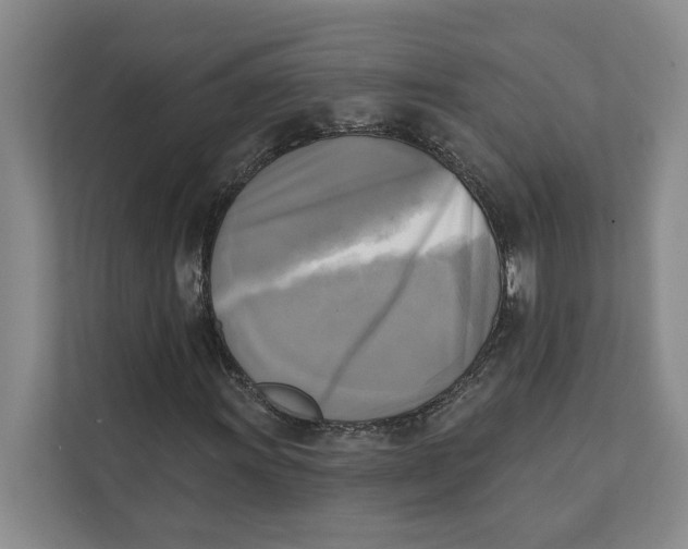 X0000111481011200908041118