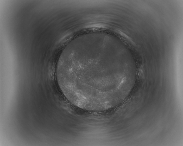 X0000111481014200908041118