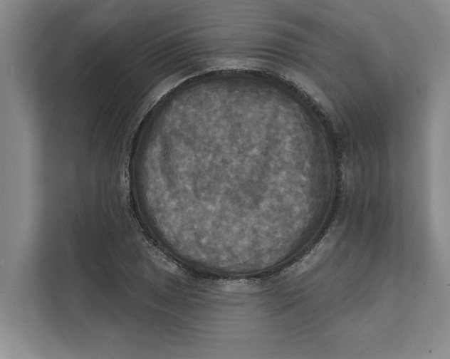 X0000111481025200908041118
