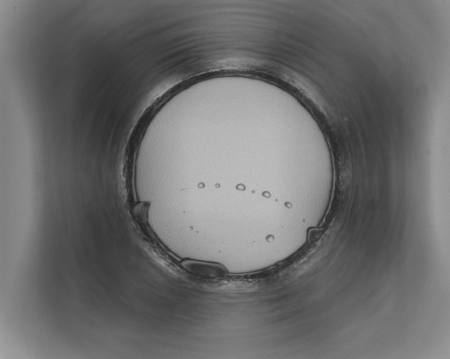 X0000111481026200908041118