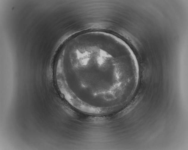 X0000111481027200908041118