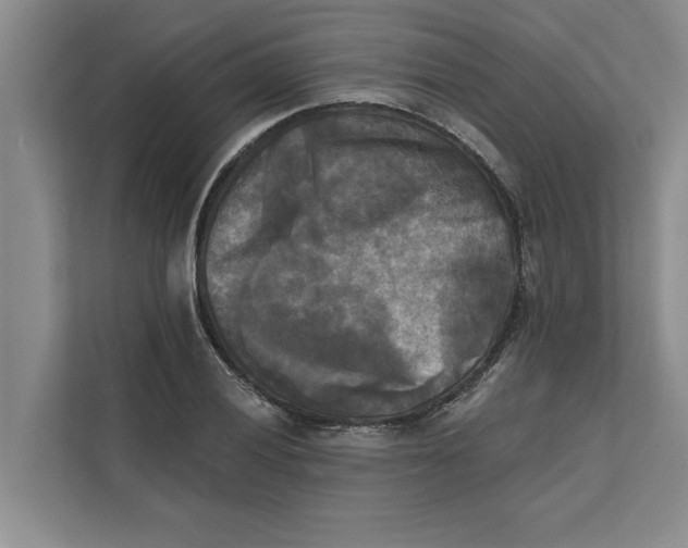 X0000111481028200908041118