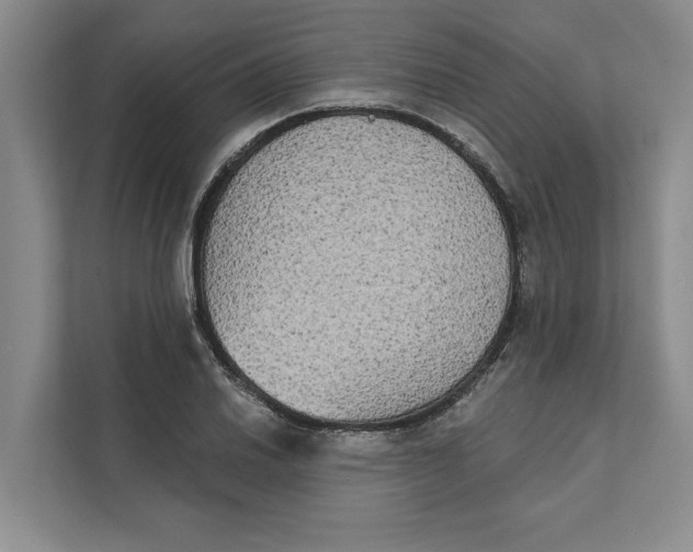 X0000111481030200908041118