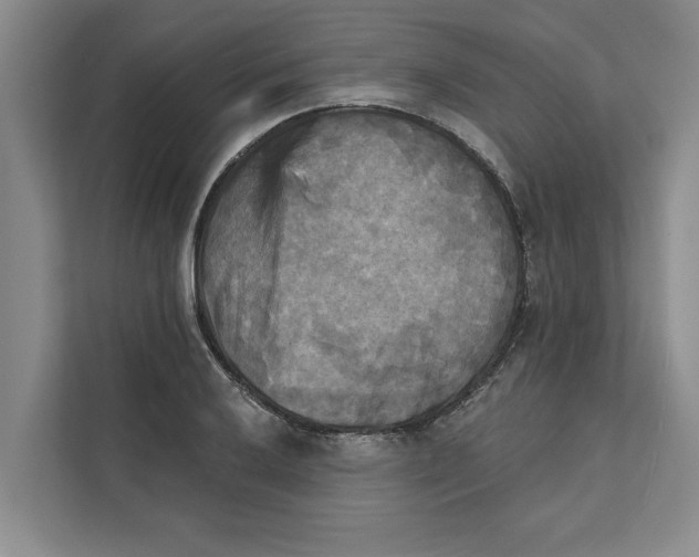 X0000111481032200908041118