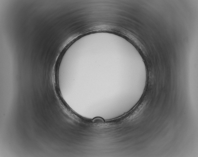 X0000111481034200908041118
