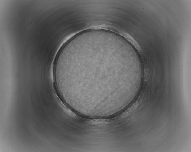 X0000111481036200908041118
