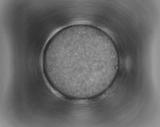 X0000111481038200908041118