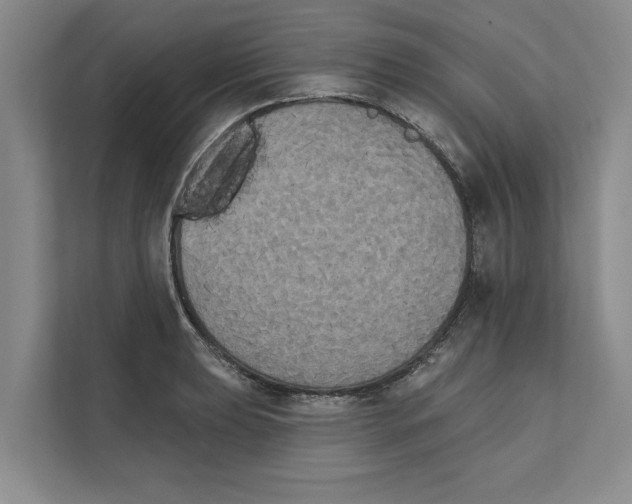 X0000111481039200908041118