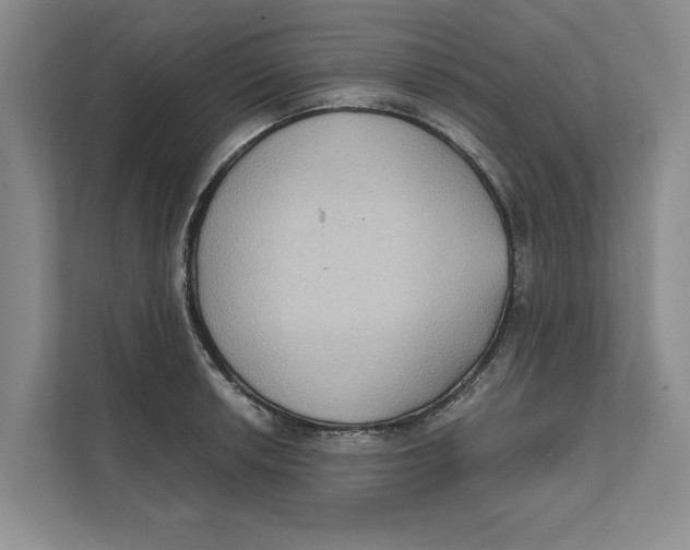 X0000111481042200908041118