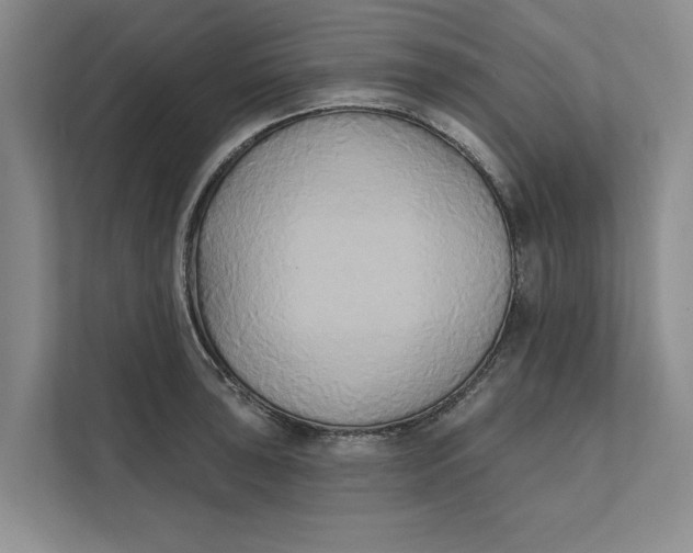 X0000111481043200908041118