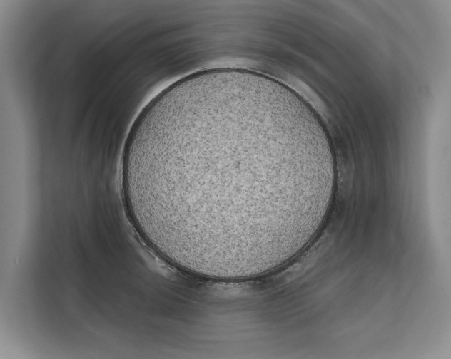 X0000111481044200908041118