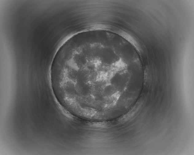 X0000111481047200908041118