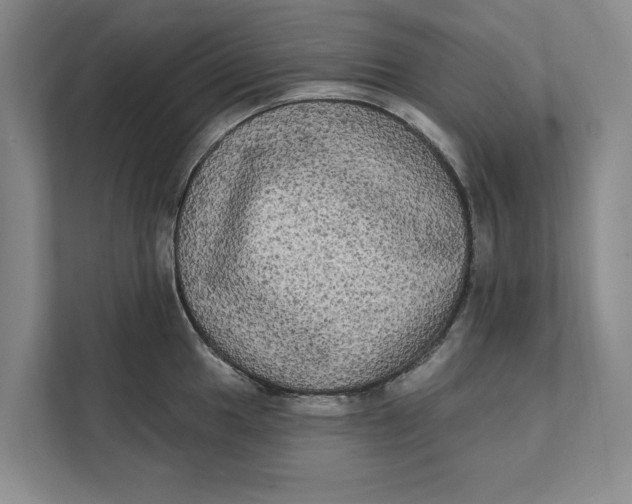 X0000111481049200908041118