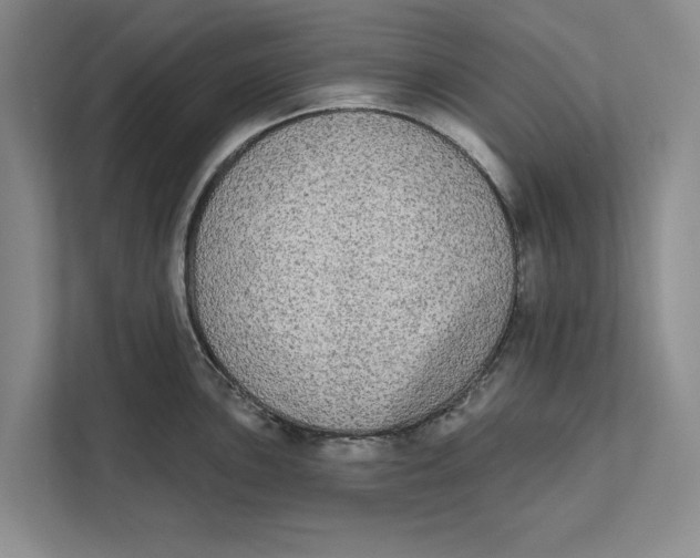 X0000111481051200908041118