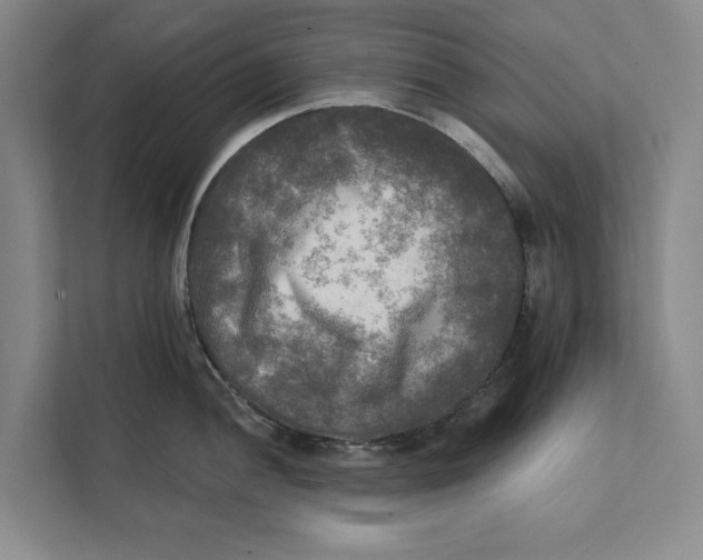 X0000111481052200908041118
