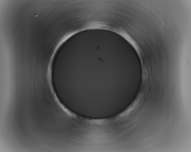 X0000111481053200908041118