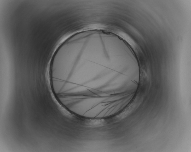 X0000111481055200908041118