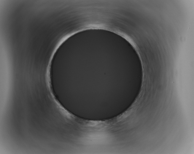 X0000111481056200908041118