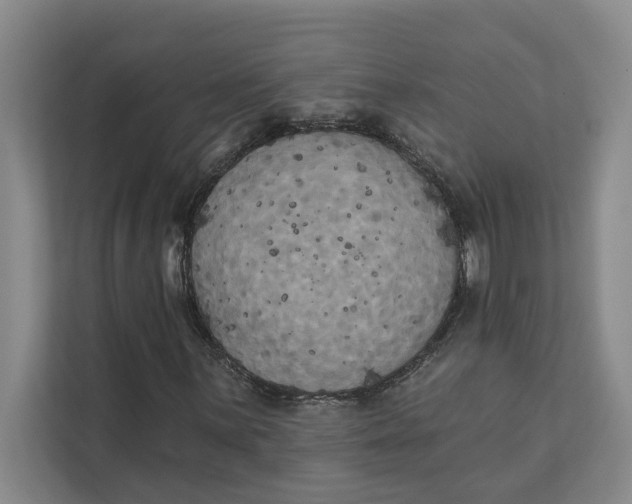 X0000111481059200908041117