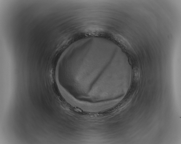 X0000111481060200908041117