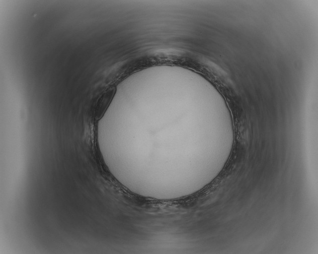X0000111481061200908041117