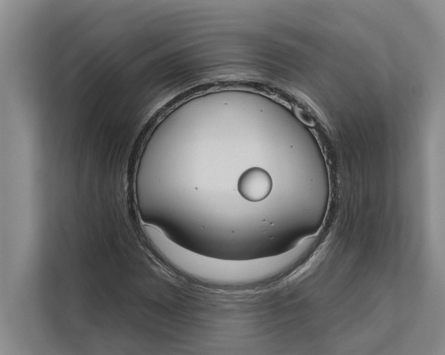X0000111481065200908041117