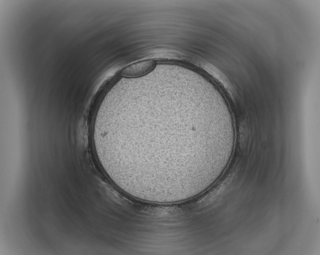 X0000111481067200908041117